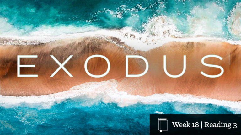 Exodus 26:1-37 | Grace Church Blog