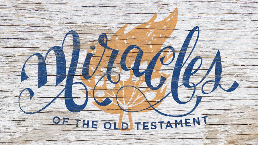 Recap | Miracles of the Old Testament | The Burning Bush | Grace Church Blog